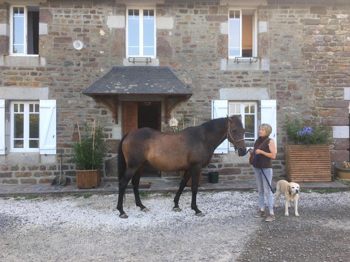 Decouverte D'Un Haras Proche Du Mont St Michel Hambye Exterior foto