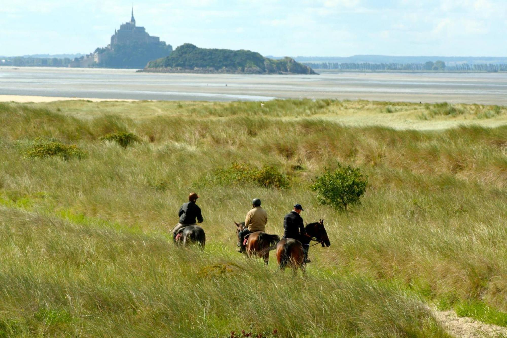 Decouverte D'Un Haras Proche Du Mont St Michel Hambye Exterior foto
